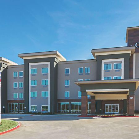 La Quinta By Wyndham Dallas - Wylie Buitenkant foto